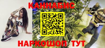 стаф Сланцы