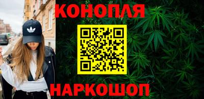 стаф Сланцы