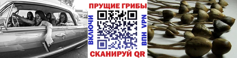 цены   Соликамск  Галлюциногенные грибы мухоморы 