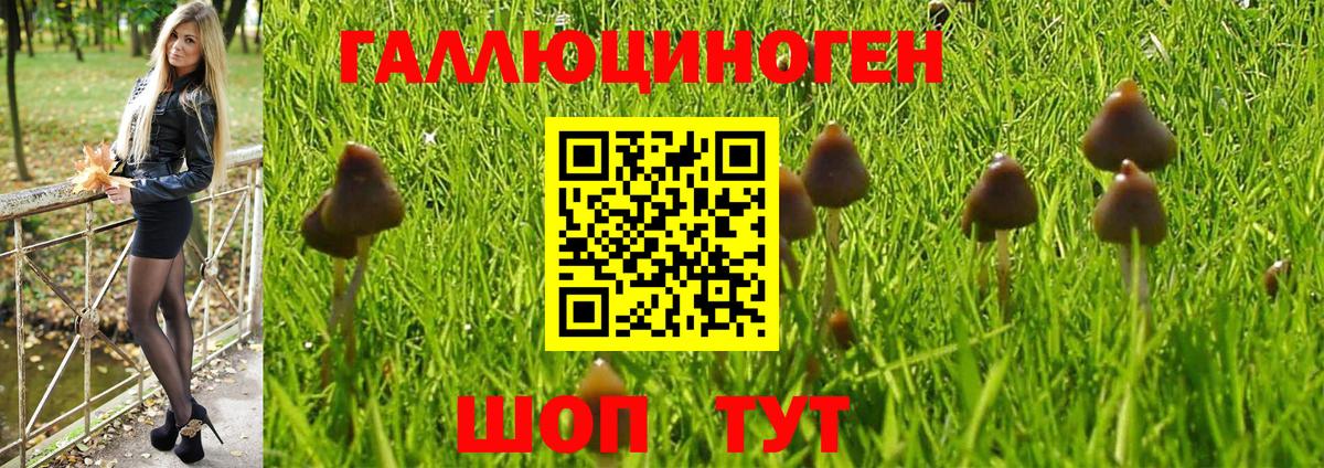 Галлюциногенные грибы Magic Shrooms Соликамск