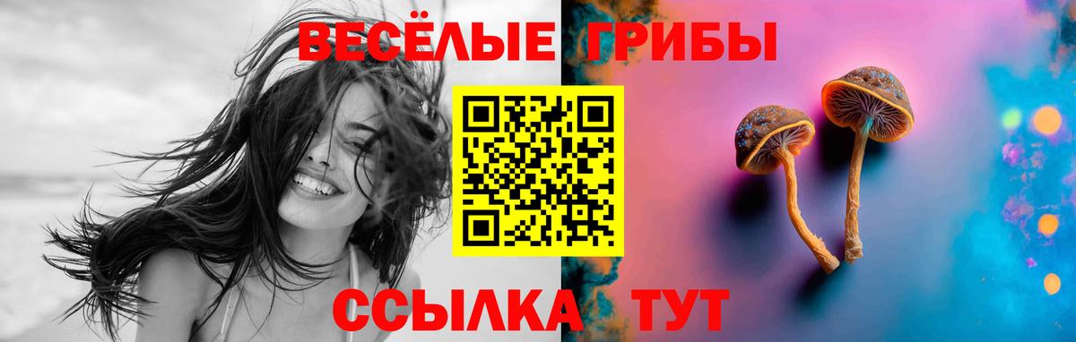 Галлюциногенные грибы GOLDEN TEACHER  Вход с VPN  Галлюциногенные грибы Cubensis  купить наркотики сайты  Соликамск 